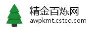 精金百炼网